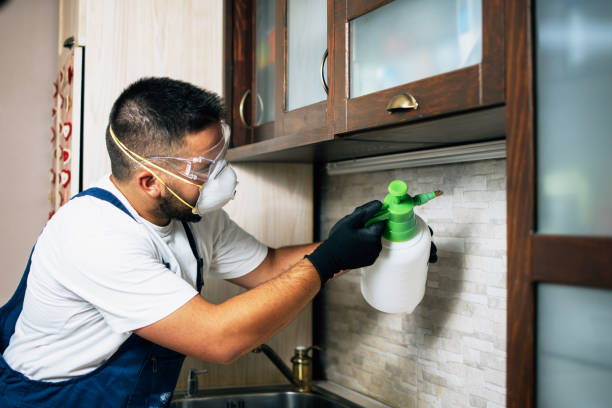 Professional Pest Control in Kenmore, NY