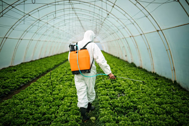 Best Pest Control Cost  in Kenmore, NY